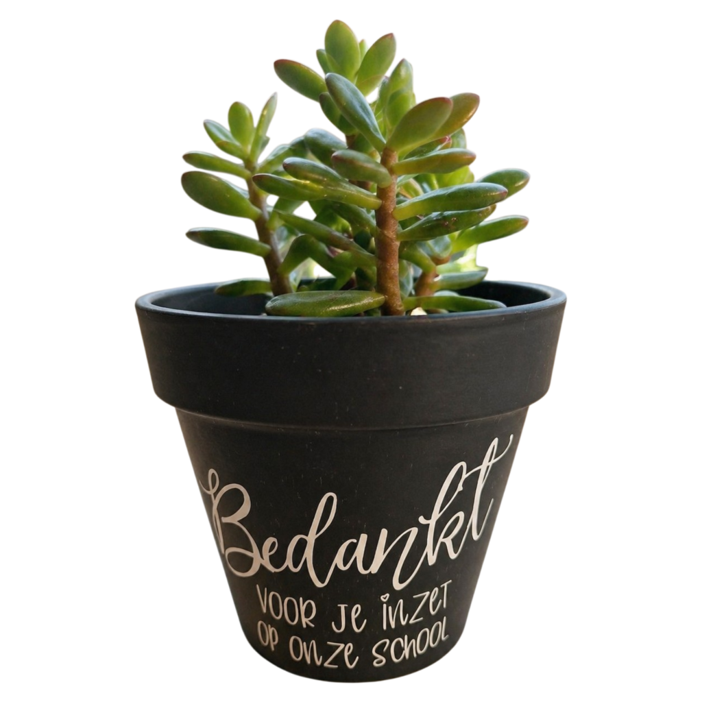 Bloempot